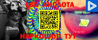 spice Славгород