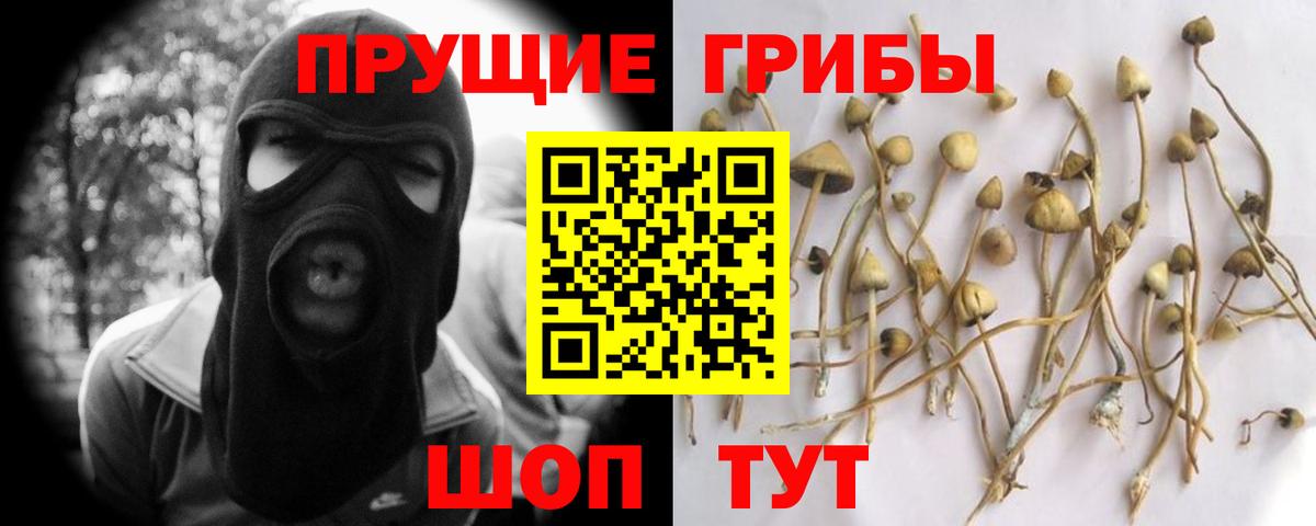 Армавир  Псилоцибиновые грибы прущие грибы  Вход с VPN 